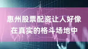 惠州股票配资让人好像在真实的格斗场地中