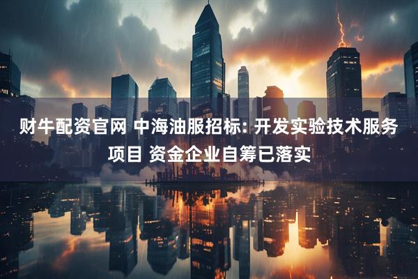 财牛配资官网 中海油服招标: 开发实验技术服务项目 资金企业自筹已落实